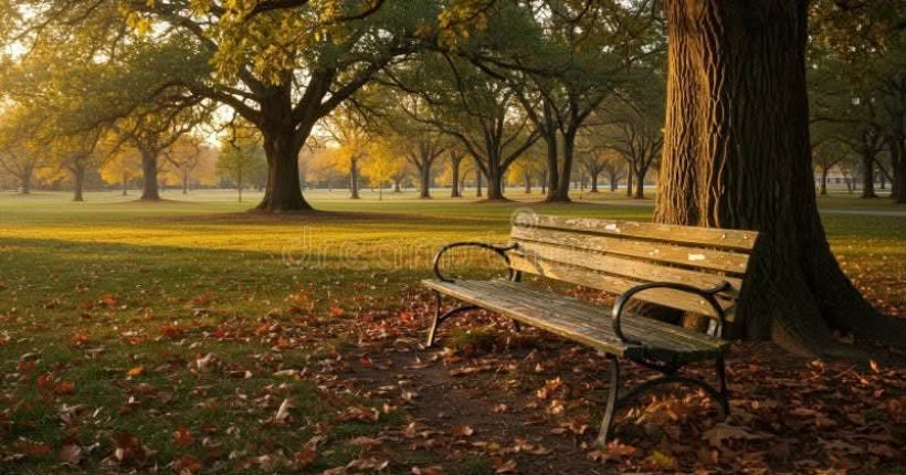 WhatsApp Image 2026-02-20 at 4.26.50 PM