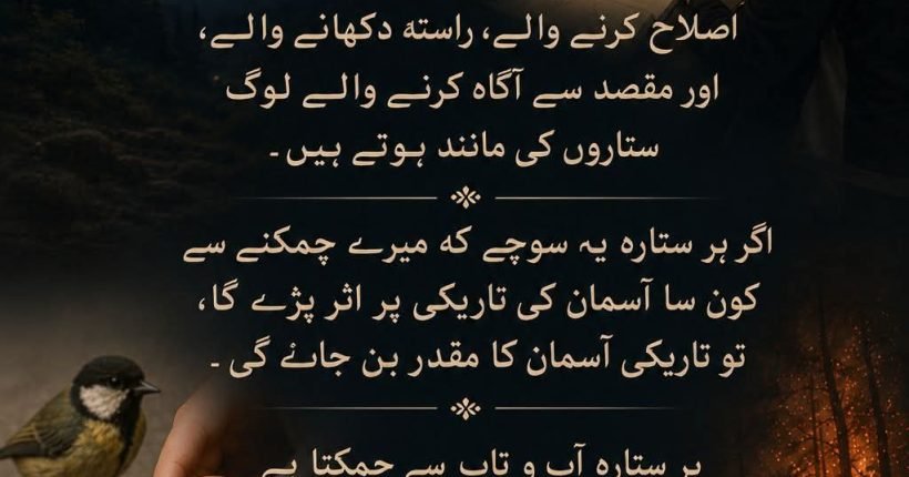 WhatsApp Image 2026-07-07 at 1.33.39 AM (2)